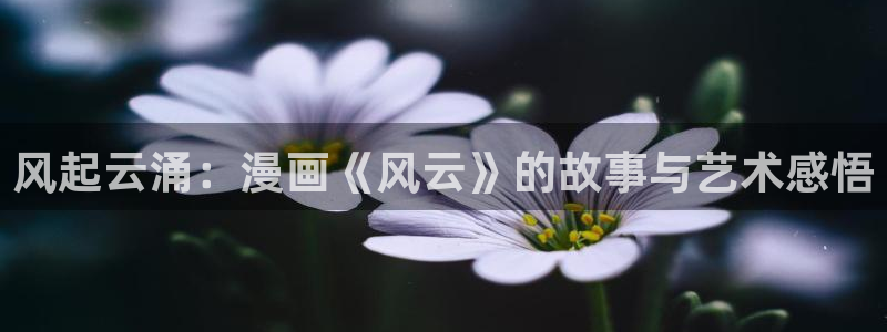 包子漫画免费官网入口：风起云涌：漫画《风云》的故事与艺术感悟